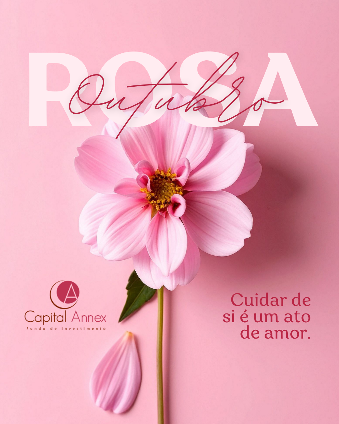 Outubro Rosa 2026